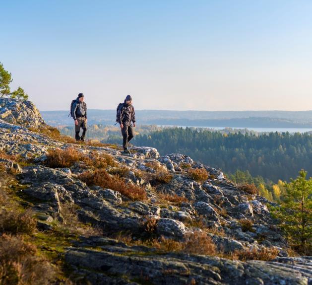 Genom att lära oss mer om vilka drivkrafter våra potentiella besökare har, och rikta budskapen till dem som har ett starkt intresse för det Sverige kan erbjuda får vi bättre genomslag för