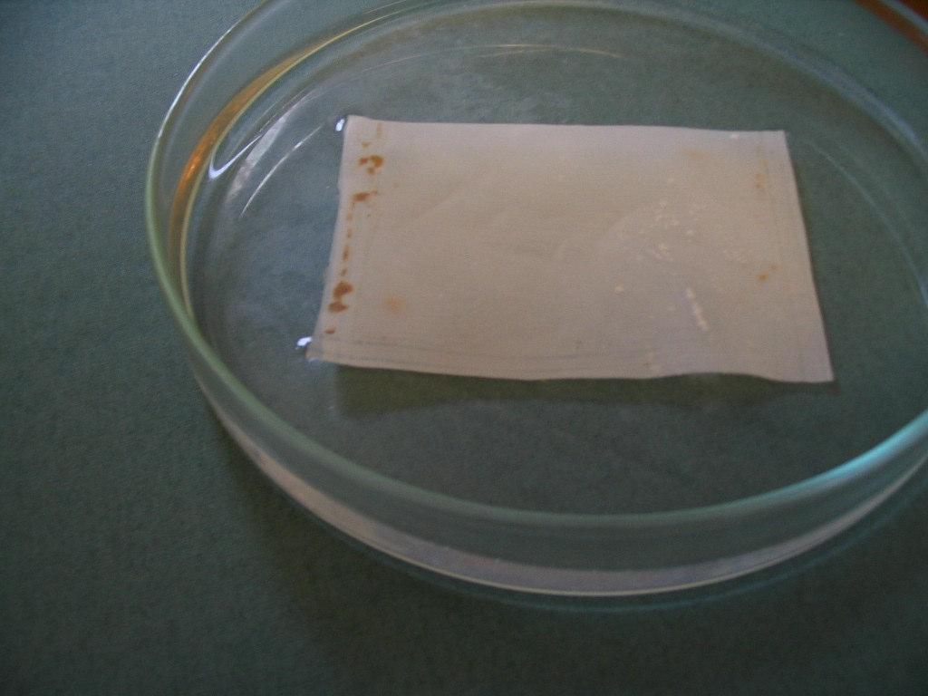 26 Figure 3. Nylon bags containing eggs of A. suum during incubation in sulphuric acid (left) and the plastic bottles in which the infected faeces were treated (right).