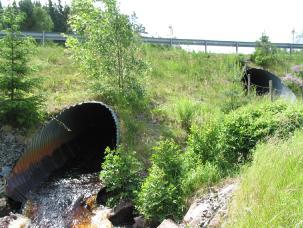 G:\ - Naturvård SAMMANFATTNING OCH ALLMÄN BESKRIVNING Nytt_ID: 77 Sandserydsån Naturvärde: Högt naturvärde Naturlighet: Raritet: Artrikedom:, Rätt 7 Sandserydsån Foto: Länsstyrelsen Naturlighet