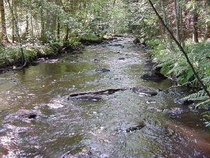 G:\ - Naturvård SAMMANFATTNING OCH ALLMÄN BESKRIVNING Nytt_ID: 8 Hökesån Naturvärde: Högt naturvärde Naturlighet: Raritet: Artrikedom: Rätt 8 Strömmande sträcka.