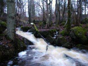 G:\ - Naturvård SAMMANFATTNING OCH ALLMÄN BESKRIVNING Nytt_ID: 86 Pirkåsabäcken Naturvärde: Högt naturvärde Naturlighet: Raritet: Artrikedom:,, Rätt 8 6 Naturligt vandringshinder.