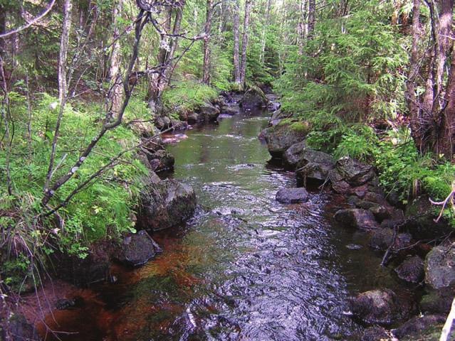 VÄTTERBÄCKAR I JÖNKÖPINGS LÄN Vattendragen utgör en livsviktig pulsåder i landskapet Våra vattendrag med alla dess mångskiftande miljöer utgör en mycket viktig naturtillgång.