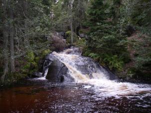 G:\ - Naturvård SAMMANFATTNING OCH ALLMÄN BESKRIVNING Nytt_ID: 96 Holmån Naturvärde: Högt naturvärde Naturlighet: Raritet: Artrikedom:,, Rätt 8 6 Rävafallet Foto: Länsstyrelsen Naturlighet Raritet