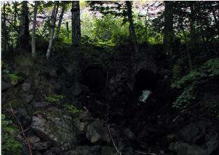 G:\ - Naturvård SAMMANFATTNING OCH ALLMÄN BESKRIVNING Nytt_ID: 68 Vätterslundsbäcken Naturvärde: Endast fysisk naturlighet bedömd Naturlighet: Raritet: Artrikedom: Rätt 8 8 Trummor i
