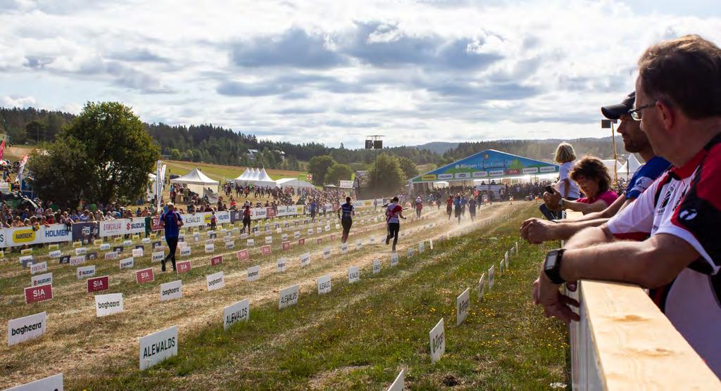 6 oktober, 25-manna, Järvafältet: Efter fina och stabila lopp av alla 25 i laget slutade vi på en rekordbra 83:e plats av 366 lag. En riktig kanoninsats av vårt kombinationslag med Skogspojkarnas OK!