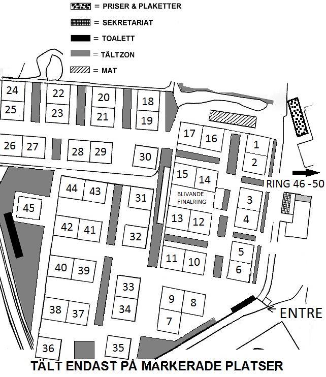 Ring 48 Starts at 09:00 Davern Pluis, USA NOVA SCOTIA DUCK TOLLING RETRI 36 ENGLISH POINTER 5 IRISH RED AND WHITE SETTER 1 ENGLISH SETTER 1 IRISH RED SETTER 37