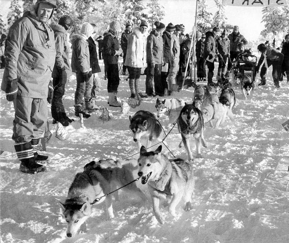 SVENSKA POLARHUNDKLUBBENS RASKLUBB FÖR SIBERIAN HUSKY Raskompendium