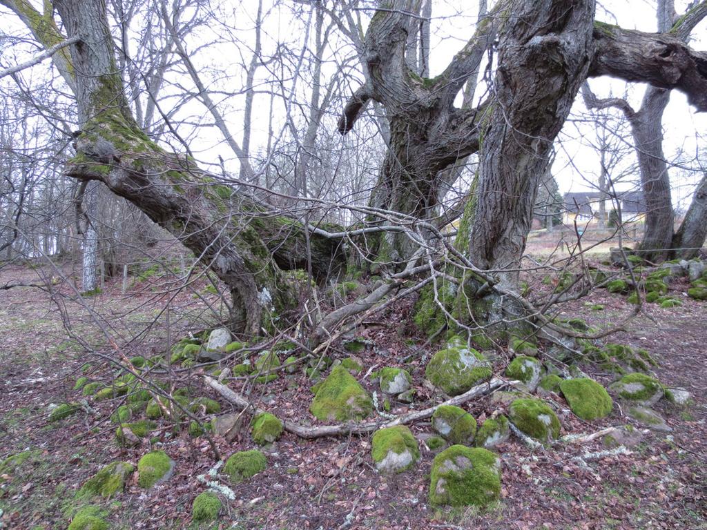 ID14, boplatsläge Område ID14 låg i ett kuperat landskap med västsluttningar ner mot sjön Grumlan. Inom området grävdes 13 sökschakt till en sammanlagd längd av cirka 200 meter.