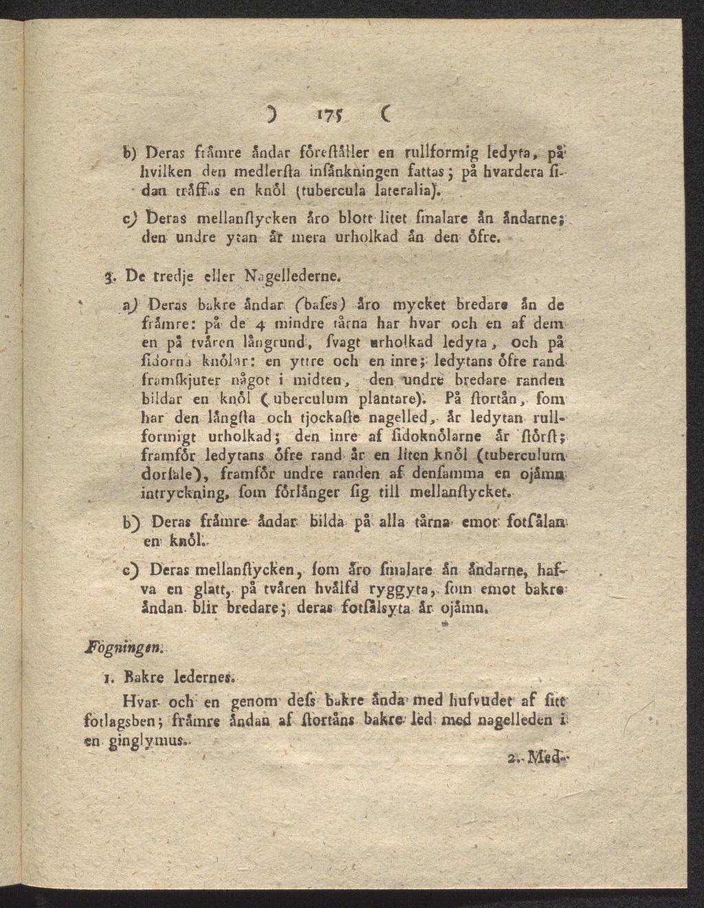 ) i7f C b) Deras främre jsmlar förtflnuer en rullformig [edyfa, pa hvilken den inedlerfta infankningen fattas ; på hvardcra fidan tråffsis en knöl (tubercula lateralia).