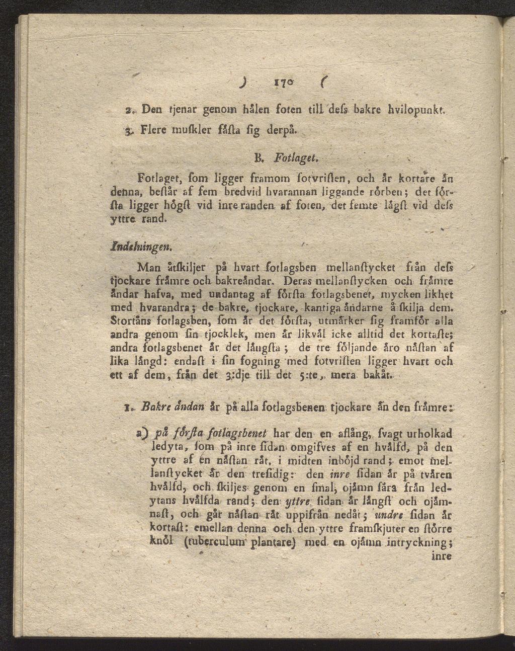) 170 ( 3. Den fjenar genom hålen fofen tili defs bakre hvilopunkt. Fiere mufkler fåda fig derpå. B, Fotlaget.