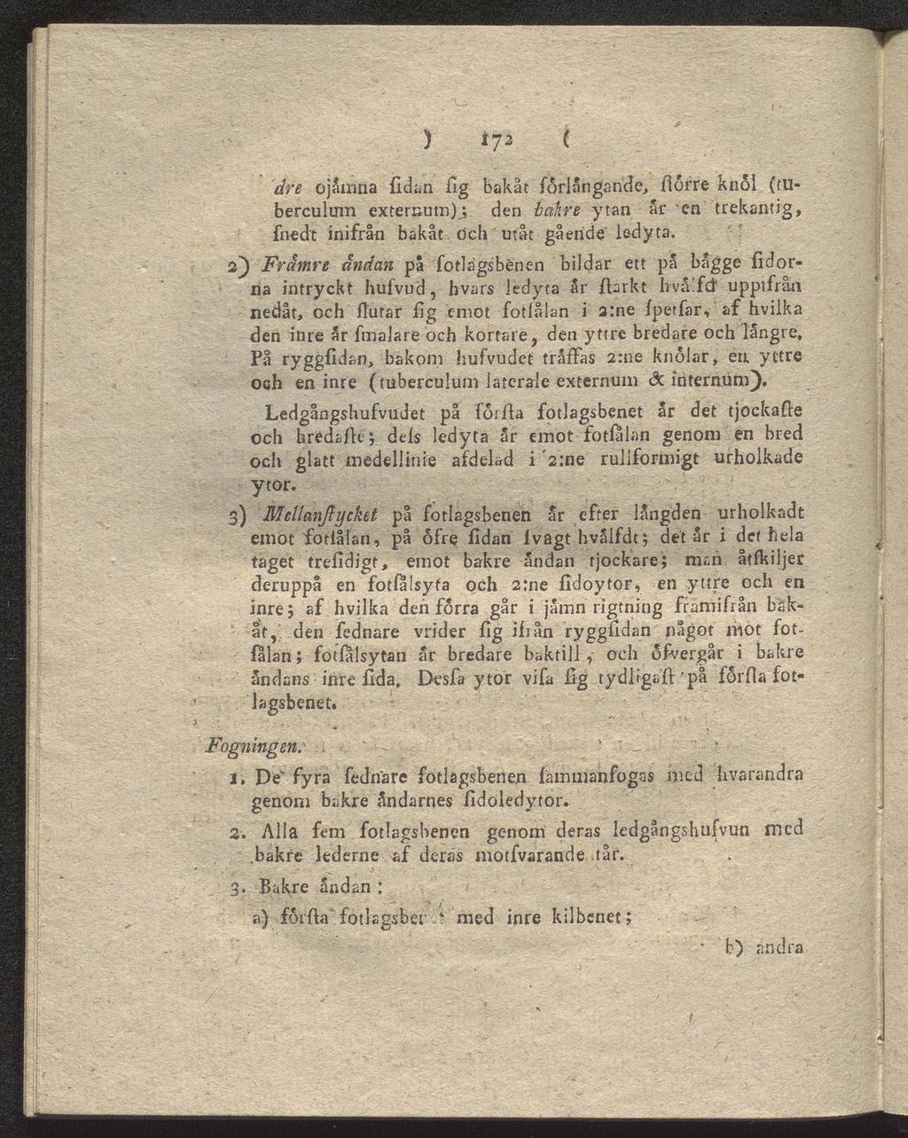 ) *73 i dre ojamna fidan fig bakåt förlängande, flörre knol (tuberculum externum)j den bahre ytan ar 'en trekantig, fnedt inifrån bakåt och utåt gående iedyta.