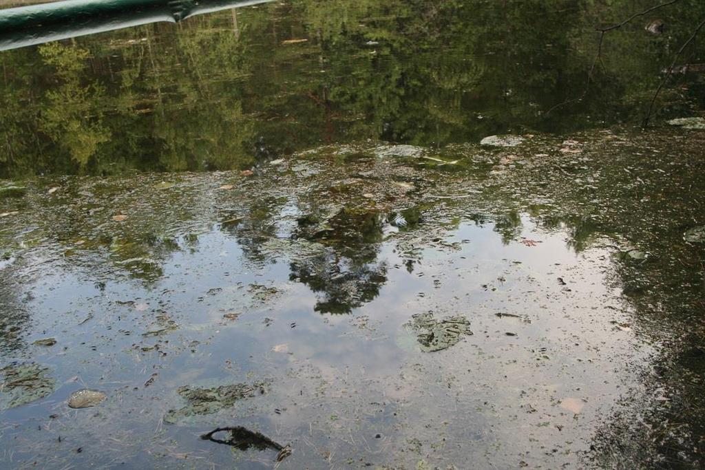 BILAGA 5: Nytagna bilder av skärmbassänger i Nackas sjöar