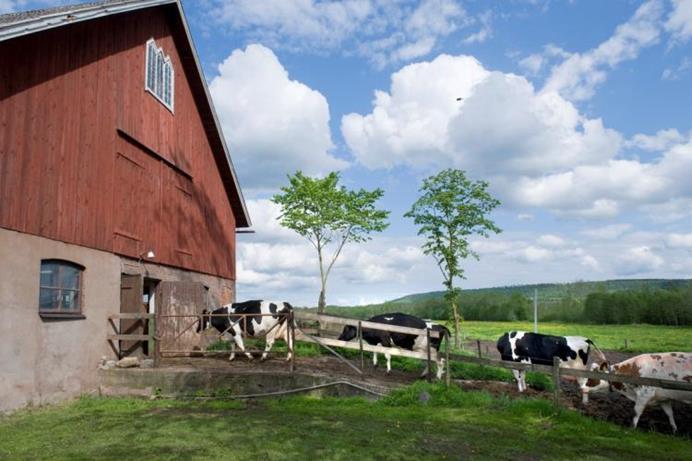 Jämförelse samma gårdar fler balanser första senaste balansen t o m år 2016 Minst 4 rådgivningar, varav 2 växtnäringsbalanser