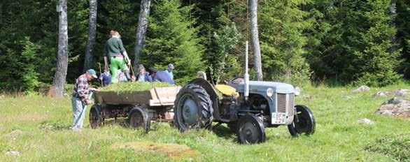 Ängens dag - lieslåtter på Kurebo äng i Börstig lördagen den 3 augusti klockan 08.00 Ingen samåkning från Falköping Traditionelt slåttergille, tag med lie och räfsa. Vi bjuder på slåttermat.