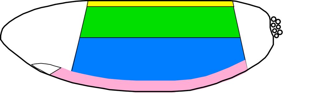The less DPP, the fewer dorsal structures Lateral View Anterior Amnioserosa