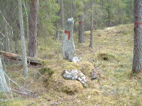 De tydliga och välbevarade råstenarna i har mycket höga lantmäterihistoriska bevarandevärden. Foto: Linda Vålberg. 3.3.4 Intressen för friluftslivet Orördhet och upplevelse av vildmark.