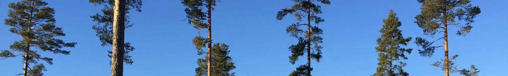 Kontaktperson för Vinäs VVO är Niclas Larsson, tfn 070-323