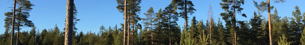 se/ Fastigheten ingår i Mora Västra älgskötselområde.
