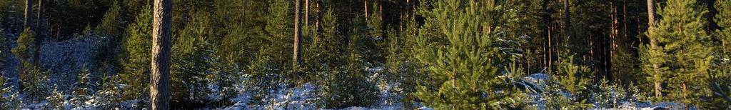 f.n. 200 kr/år.