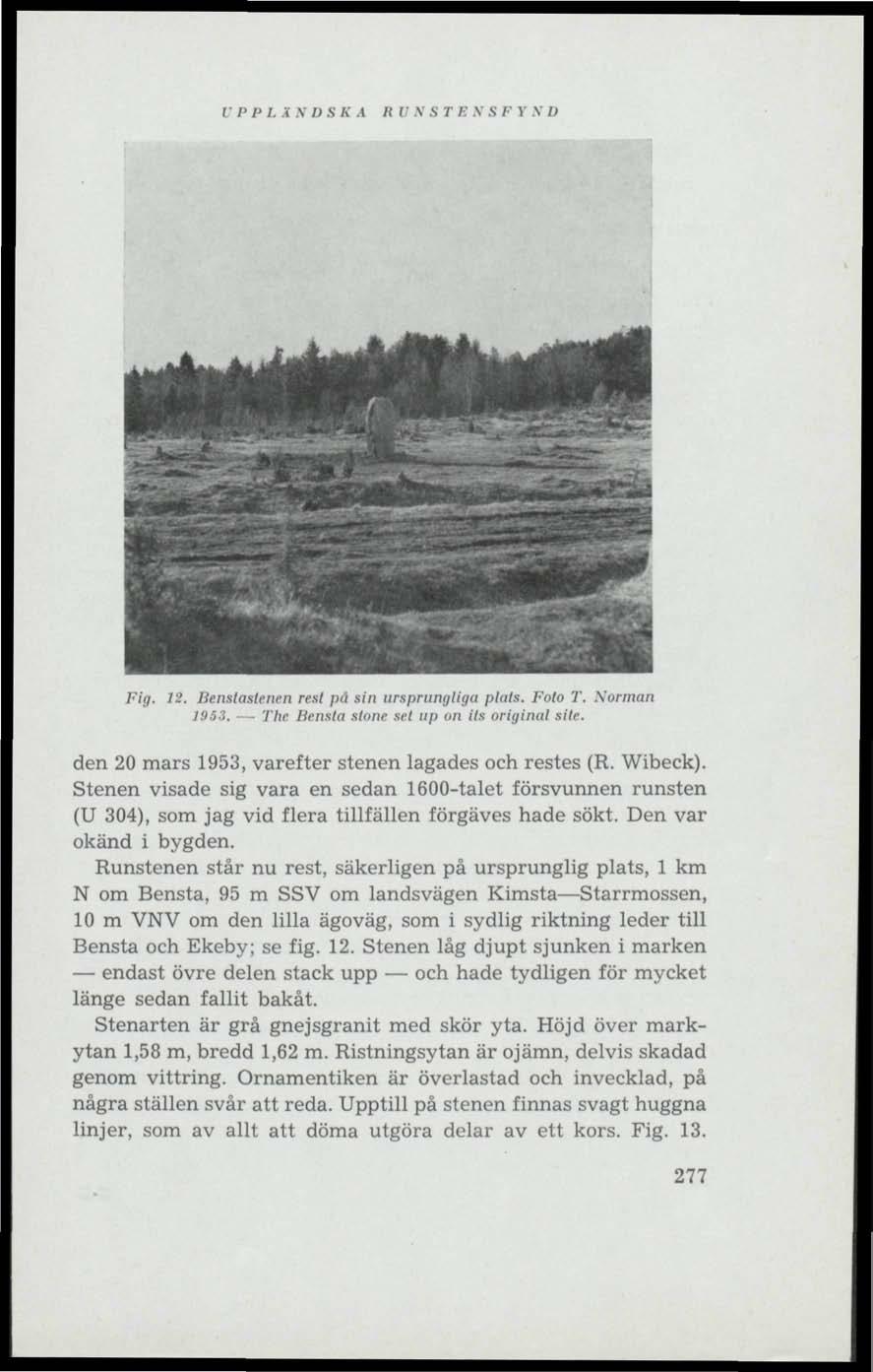 i' PP I. X N DSK A R V N S T B N S F V V 71 Fig. 12. Benstastenen rest på sin ursprungliga pluls. Foto T. Xorman 1953. 77IP Bensta slitne sel up on Its original site.