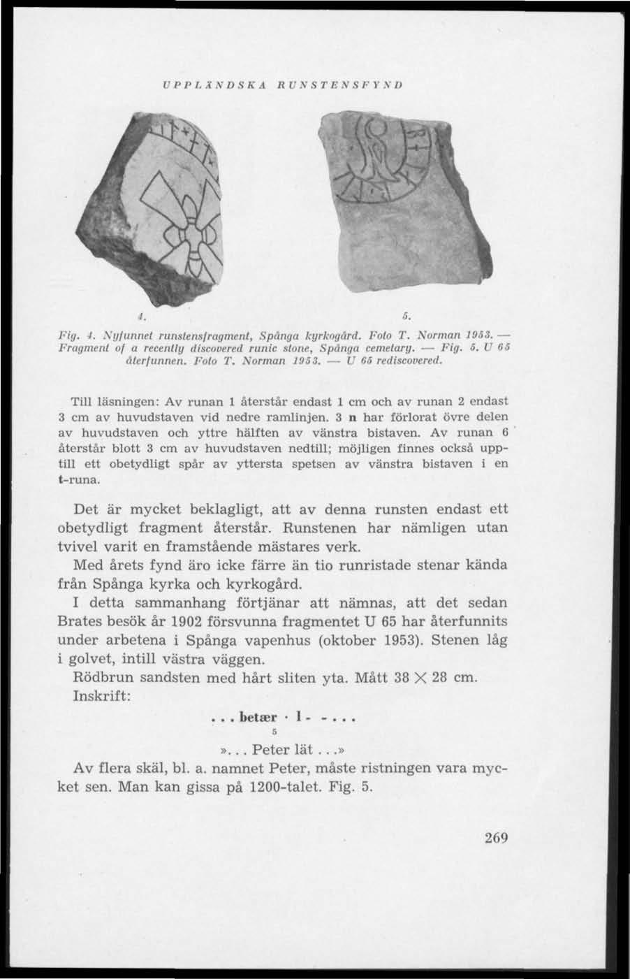 U PP L X.V DSK A RU \ ST E \ S F Y \ I) Jrl Fig, l. Nyfunnet runstensfragment, Spänga kyrkogård. Foto T. Norman 1953. Fragment of a recently discovered runic stone, Spånga cemetary. Fig. 5.