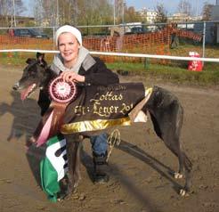 Planerad parning Mr Benchmark Ballymac Meave-Droopys Sarah Dublin. 32kg/72 cm.
