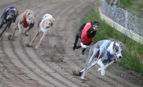 En Sommarkväll i Alingsås Dagen började med det som för oss varit en raritet men som börjar bli en vana runt om i landet, ett supersprint lopp.
