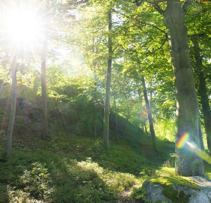 Alla företag och medborgare ska känna att de får en rättvis