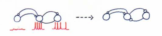 = mentalt objekt Gestalt perception Perceptuell komplettering