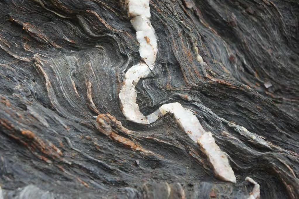 Mull of Oa Phyllite Formation Islay