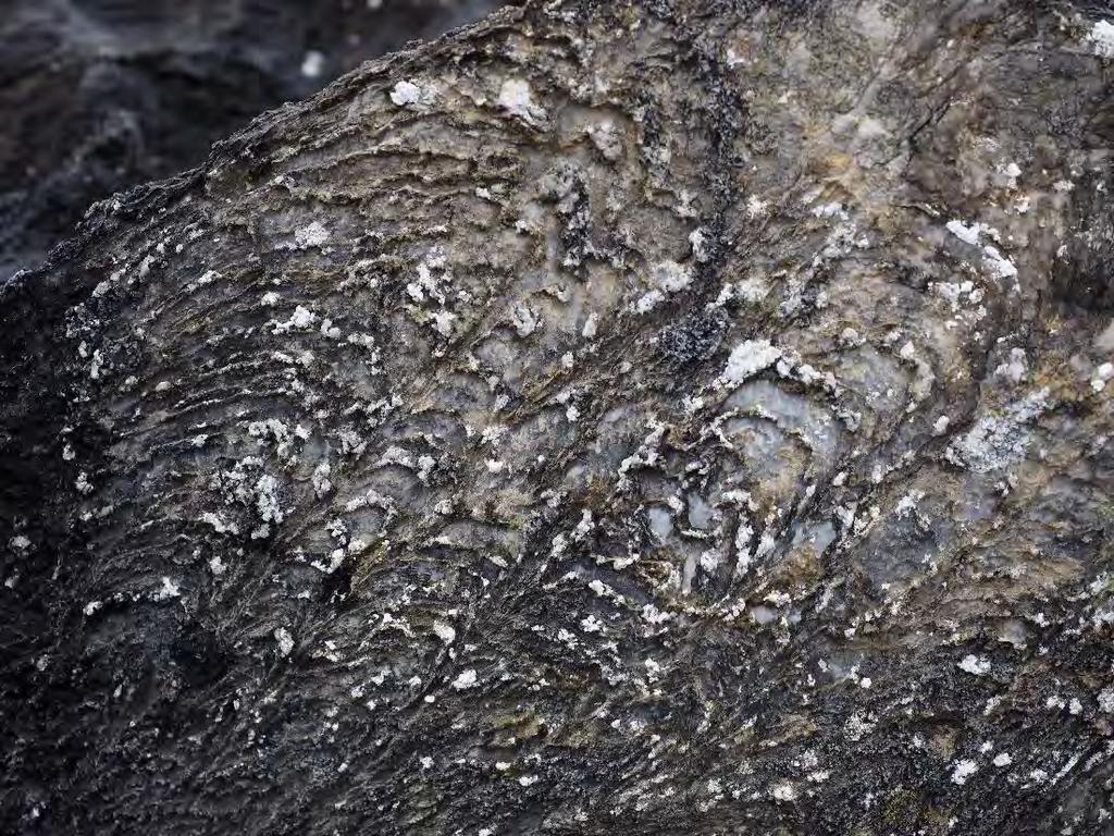 Lossit Limestone Formation
