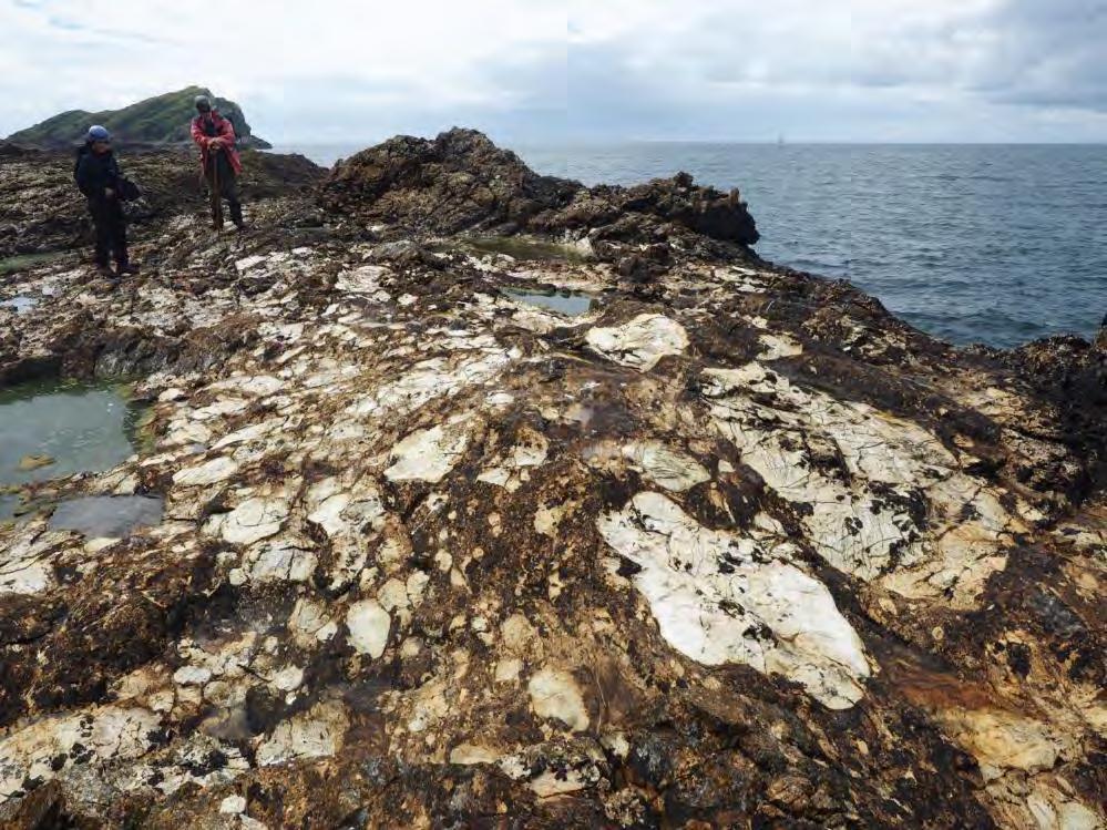Port Askaig Tillite Formation