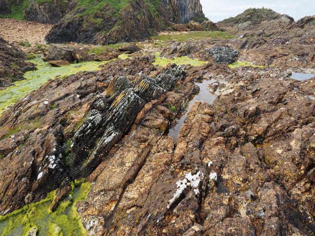 Port Askaig Tillite Formation