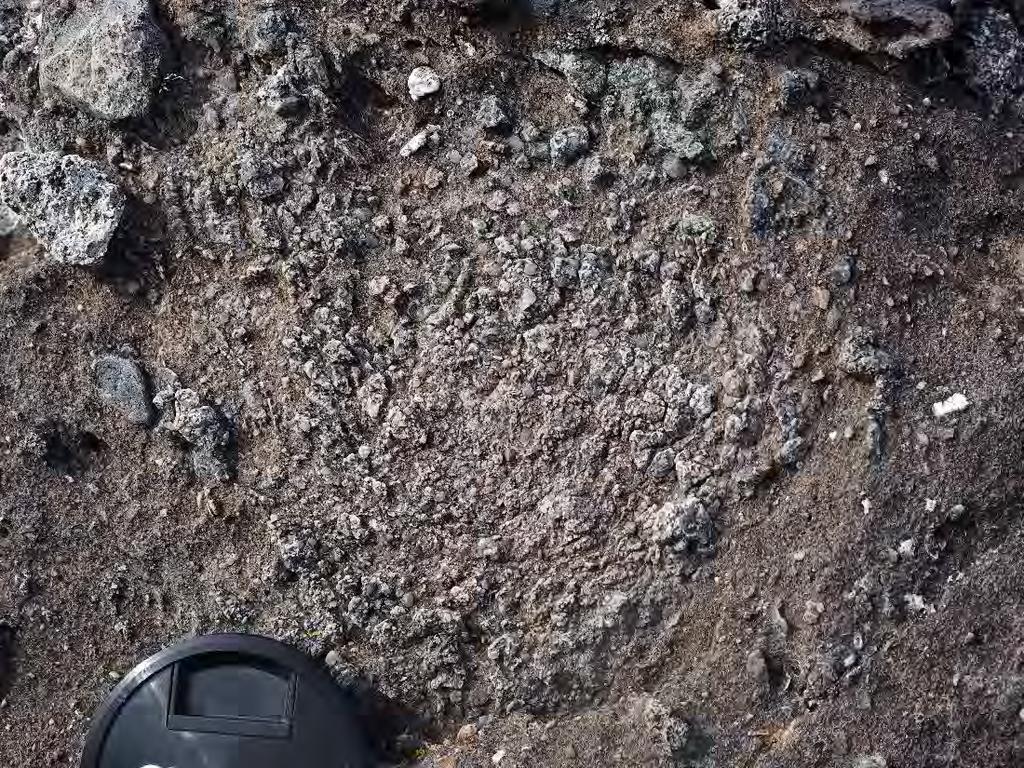 Port Askaig Tillite Formation (Diamiktiter