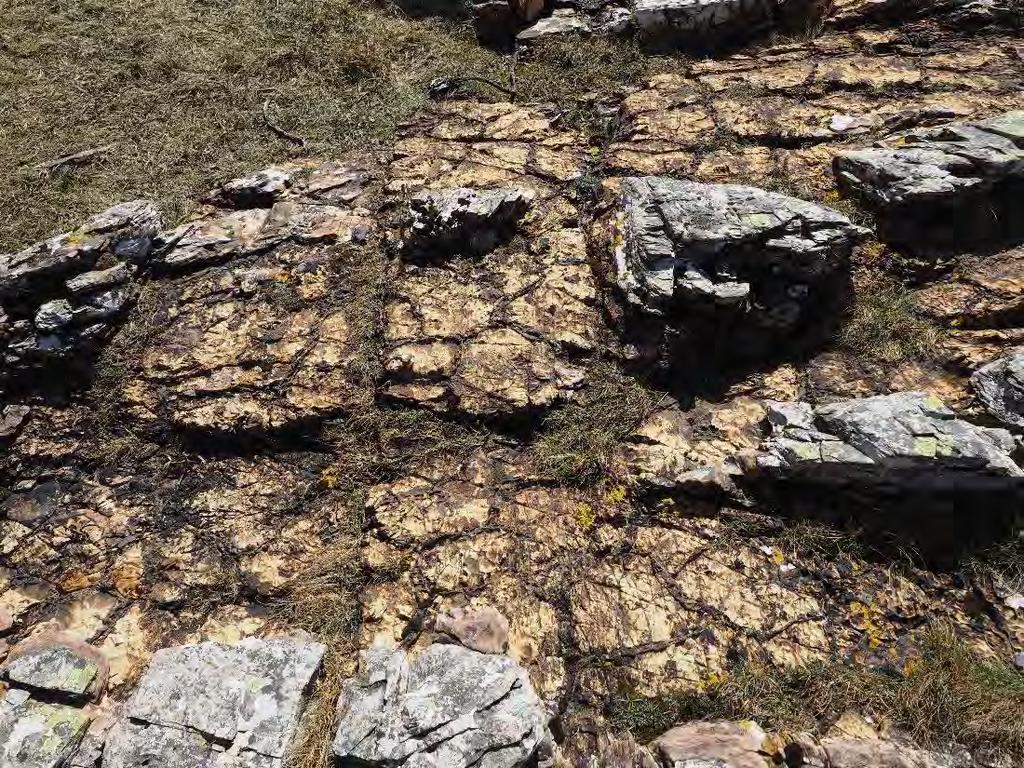 Bonahaven Dolomite