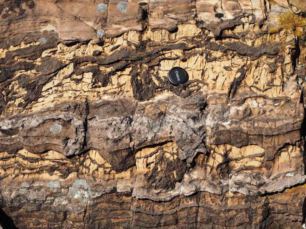 Bonahaven Dolomite