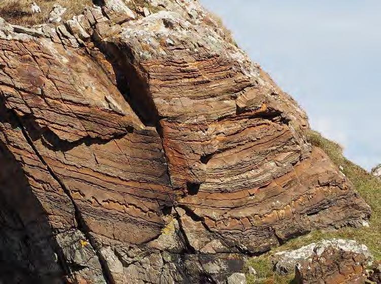 Bonahaven Dolomite