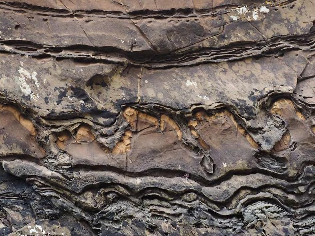 Bonahaven Dolomite