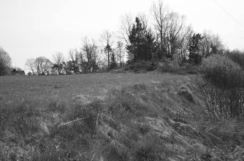 Fig. 9. En av de kraftiga terrasskanterna i utredningsområdet.