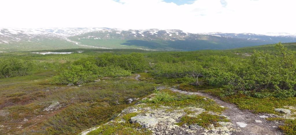 Tema 1: Geografiska data för turism och friluftsliv Gemensamt arbete med tur- och friluftsleder