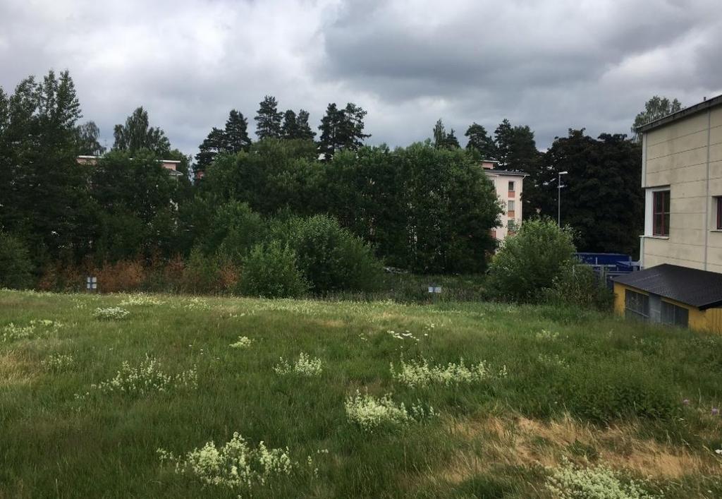 Ludvika Kommun Planbeskrivning Förskola Marnäs Sida 7(19) Gräsbevuxna ytor centralt inom planområdet, sett mot nordost och Kvarngatan 6.1.2 Geotekniska förhållanden Enligt SGU:s jordartskarta består marken inom planområdet av morän.