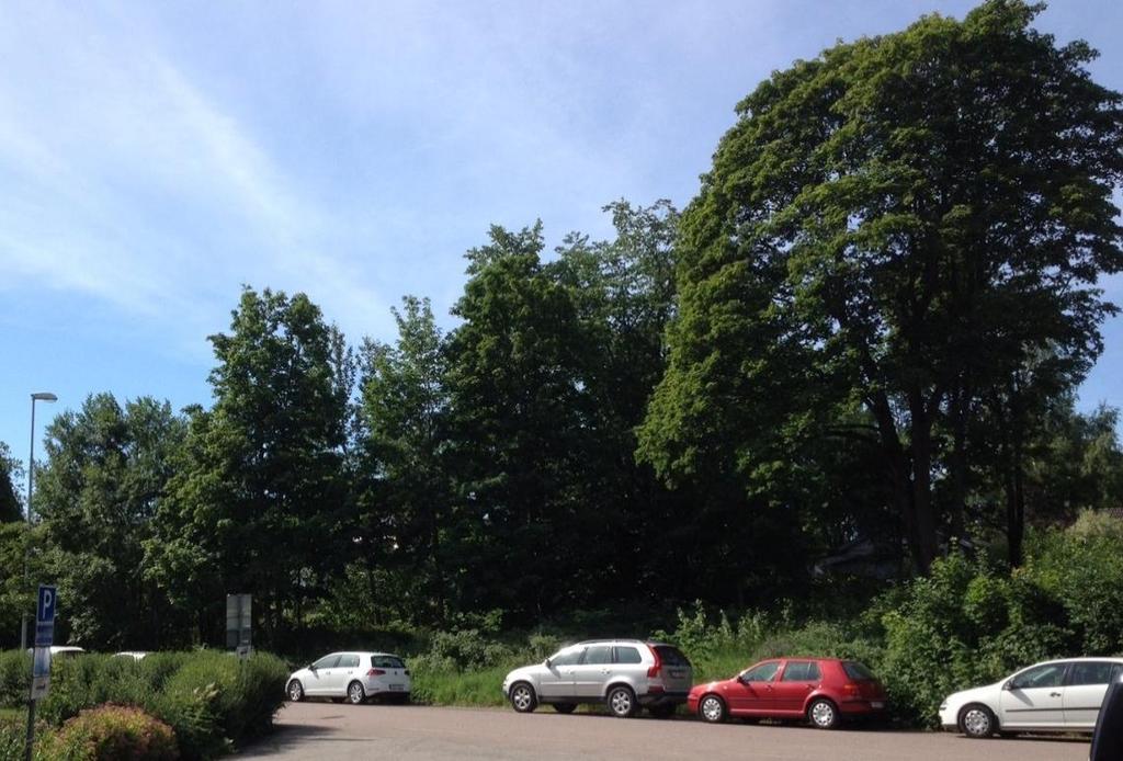 Almen har försetts med en planbestämmelse som anger att träd endast får fällas om det är sjukt eller