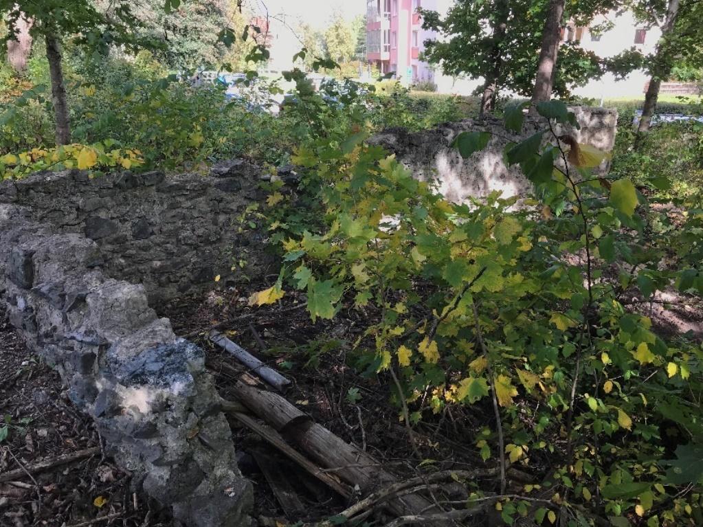 12 (15) Figur 6.2. Slaggstensmur på fastigheten Ludvika 6:1.