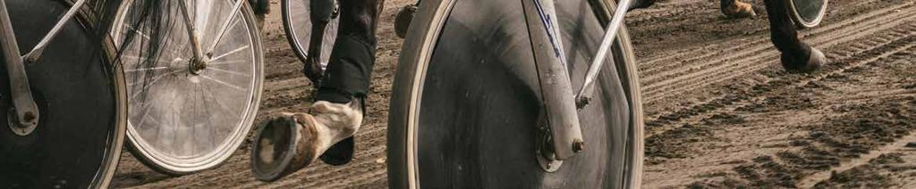 Info V5- TRIO TVILLING SOLVALLA // 05 7 8 5 7 LEADER BRODD ODDS TID START 7.05 500 m 000 m Rä 5,br.v.