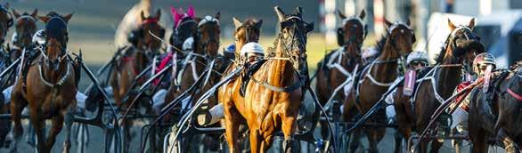 DELTÄVLING SOLVALLA OLYMPIATRAVET HANDSOME BRAD VS ON TRACK PIRATEN.