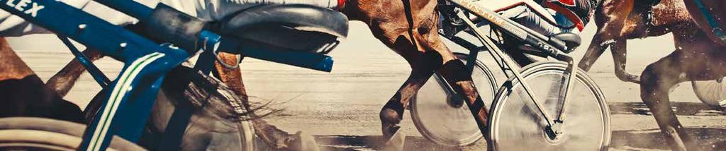 TIPS Av Solvalla Travbana Lopp 5 analysen.