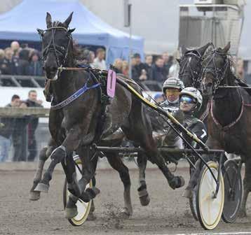 De unga talangerna inleder i Margaretas Tidiga Unghästserie och sedan väntar högklassiga STL-finaler med bland annat On Track Piraten och Double Exposure.