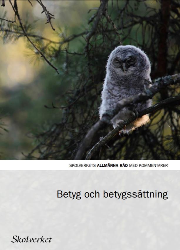 Allmänna råd om betyg och betygssättning Lärares professionella yrkeskunnande Risker med bedömningsmatriser Behoven ska styra, inte systemen