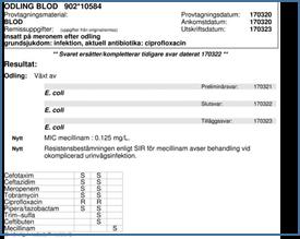 En kedja av faktorer påverkar resultatet av odlingen och behandlingen av patienten!