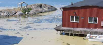 Kandidatprogrammet i biogeovetenskap Programmet i biogeovetenskap är en tvärvetenskaplig miljöutbildning som inriktar sig mot naturvård och miljökonsekvenser av naturresursutnyttjande.